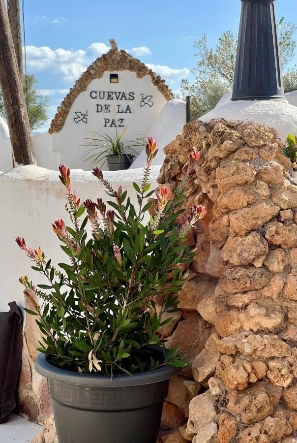 Ferienhaus Cuevas De La Paz - Cave House Holidays *