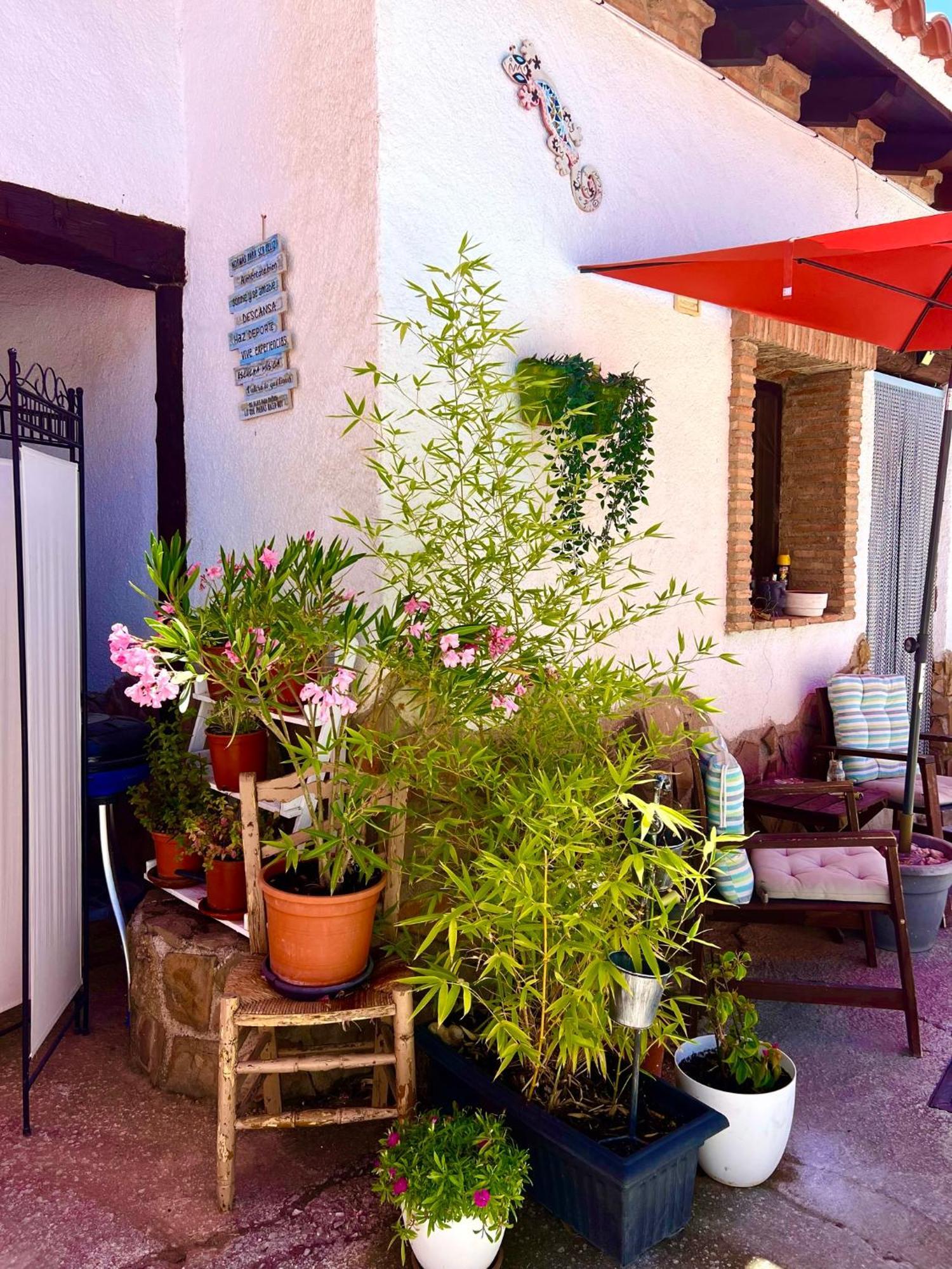 Holiday home Cuevas De La Paz - Cave House Holidays *
